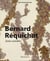 Bernard Réquichot - zones sensibles