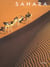 Sahara