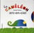 Le caméléon arc-en-ciel