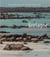 Bretagne, balades hivernales