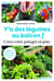 Y'a des légumes au balcon ! légumes, fines herbes, petits fruits, fleurs
