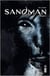 Sandman Tome 3