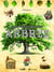 Tout, tout, tout sur les arbres