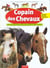 Le copain des chevaux