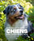 La grande encyclopédie des chiens : Soins, comportements, races