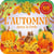 L'automne dans la forêt