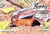 Zorro le renardeau maladroit