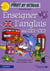 First at school : enseigner l'anglais au CE1/CE2
