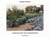 Simone nieweg landscapes garden pieces /anglais/allemand