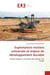 Exploitation minière artisanale et enjeux de développement durable : Étude réalisée en territoire de Lubero, R D Congo