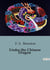 Under the Chinese Dragon : A Journey Through the Mysteries of Early 20th-Century China