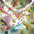 Savage imagination - CD