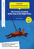 Reading Guide : the curious incident of the dog in the night-time
