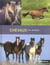 Chevaux du monde