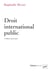 Droit international public (4e édition)
