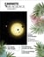 Carnets de science - la revue du CNRS n.1