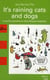 It's raining cats and dogs - et autres expressions idiomatiques anglaises