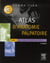 Atals d'anatomie palpatoire tome 1