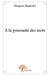 À la poursuite des mots