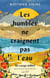 Les humbles ne craignent pas l'eau : Un voyage infiltré