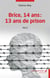 Brice 14 ans : 13 ans de prison