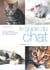 Guide du chat