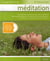Meditation Avec Cd  Energie Et Serenite