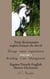Petit dictionnaire anglais-français du cheval t.2 - élévage, soins, organisation