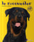 Rottweiller