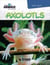 Axolotls