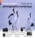 TOUT SUR LA PHOTOGRAPHIE NUMERIQUE.