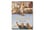 Raphael. The Complete Works. Paintings, Frescoes, Tapestries, Architecture (GB)