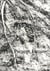 Babyn yar past , present, future