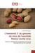 L'extremite 3' du genome du virus de l'arachide peanut clump virus - etude de l'extremite du genome