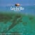 Cafe del mar volumen ocho