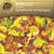 Symphonie fantastique