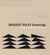 Bridget riley drawings