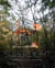 Superlight rethinking how our homes impact the earth