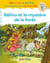 Cocorico je sais lire ! Mes premières lectures avec les P'tites Poules : Bélino et le mystère de la forêt - Niveau 1
