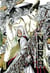 Nura le seigneur des yôkai Tome 13