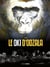 Le Oki d'Odzala - histoire complète