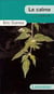 Le calme - Bach et fils