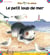 Kiko le chien - le petit loup de mer