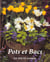 Pots fleuris toute l'annee