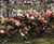Guts and glory - the golden age of American football, 1958-1978