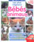 Les plus mignons bebes animaux