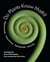 Do plants know math? Unwinding the story of plant spirals, from leonardo da vinci to now