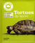 Tortue de terre
