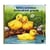 Bebes animaux deviendront grands