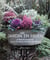 Un jardin en hiver